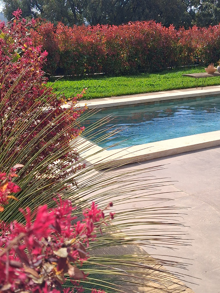 Bord de piscine et massifs colorés – Caroline Rey, paysagiste à La Crau (Var) Piscine bordée de photinias rouges et de massifs paysagers